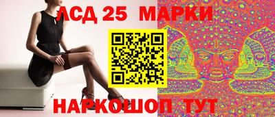 прущие грибы Обнинск