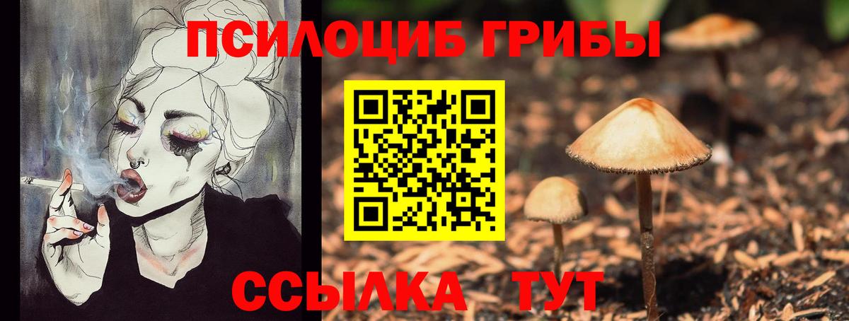 Петропавловск-Камчатский  Галлюциногенные грибы прущие грибы  Вход с VPN 